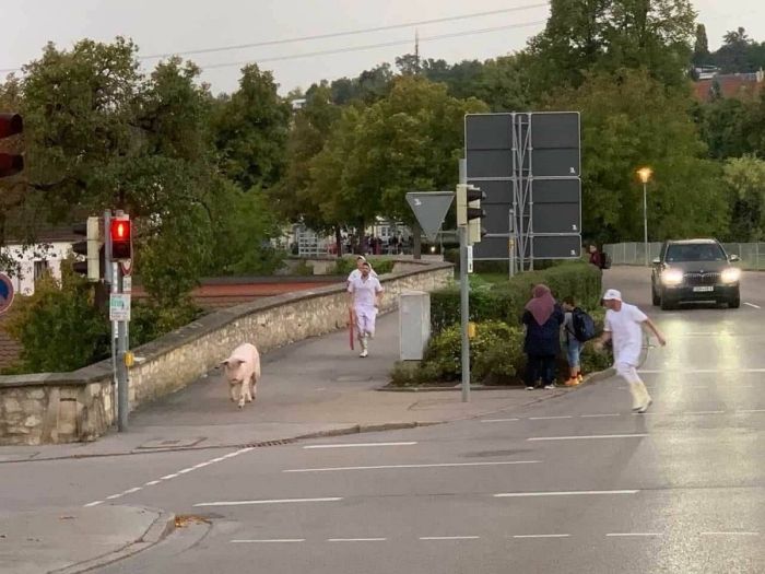 картинка 50cf929976 ulybnis pjatnica prishla memy i shutki dlja perezagruzki 6