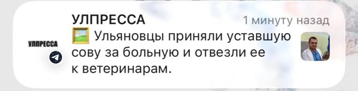 картинка 55b4d0c587 den navalilsja delami nazhmi na pauzu hotja by na minutu 4