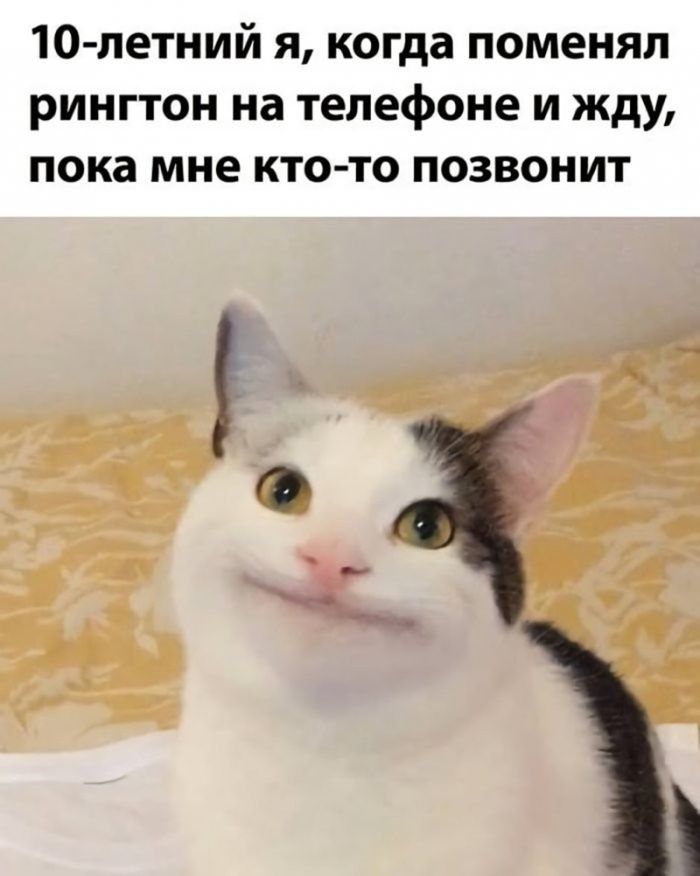картинка 5bd1ab86e5 vnimanie prosmotr jetoj podborki mozhet stoit vam mesta v raju 26