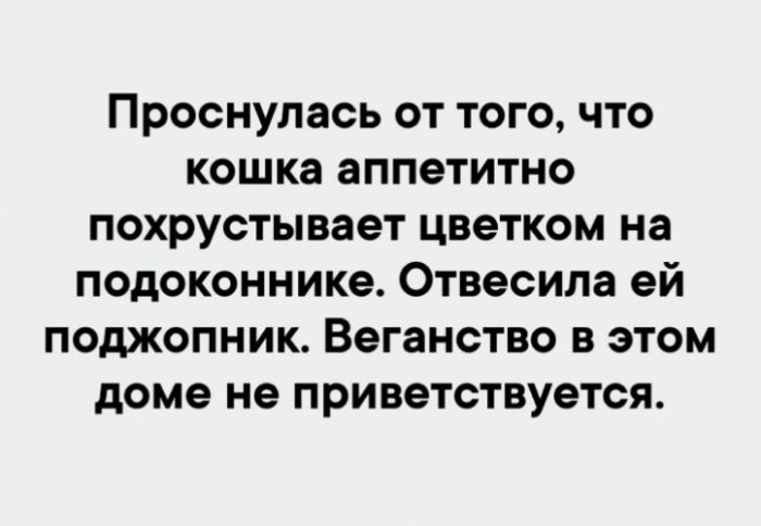 картинка 5f31f5a24c sreda vremja podnjat sebe nastroenie 13
