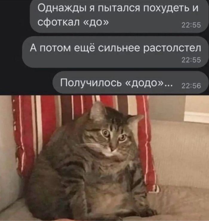 картинка 6419706e2e ostorozhno uroven poshlosti zashkalivaet 17