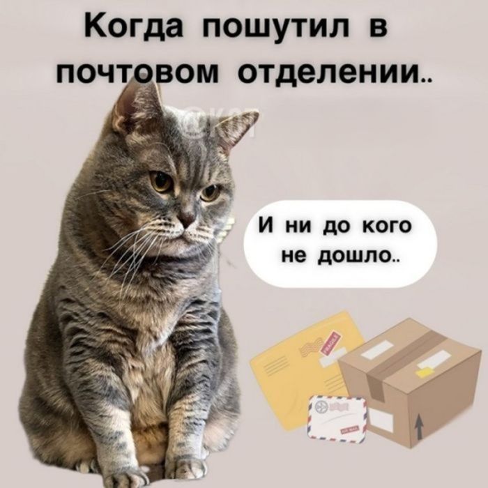 картинка 64caf767aa ostorozhno uroven cinizma zashkalivaet podborka chernogo jumora dlja teh u kogo net tormozov 27