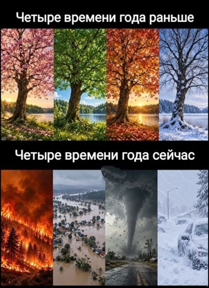 картинка 6604dcea49 kogda den seryj a nastroenie nuzhno srochno podnjat nasha podborka memov 15