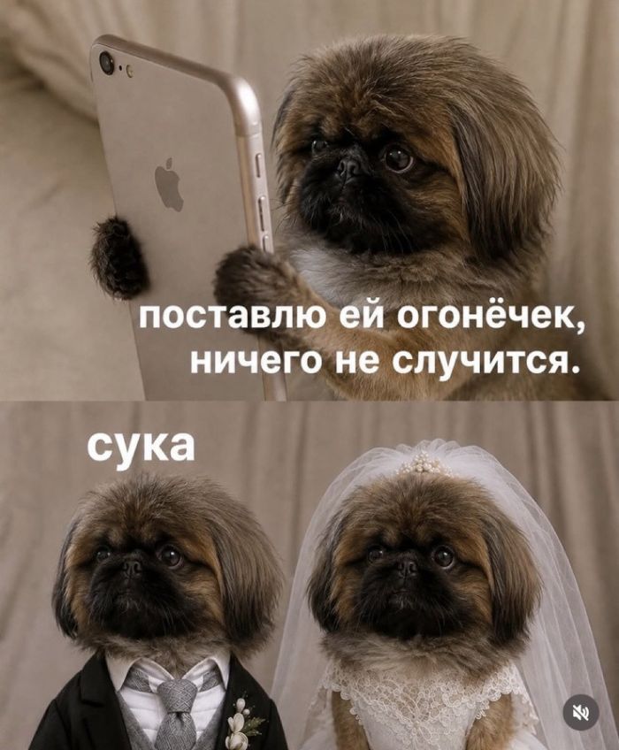 картинка 6806adad20 ostorozhno chernyj jumor 20