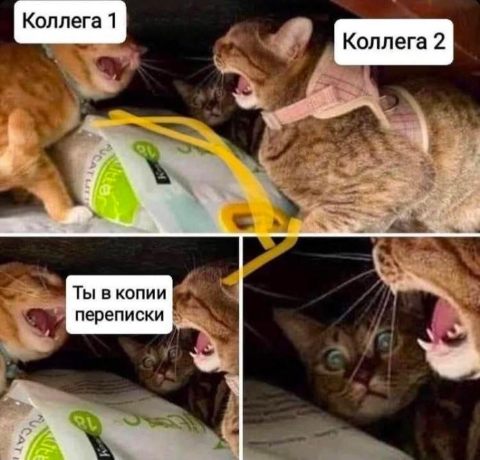 картинка 681d73c6af ura pjatnica 6
