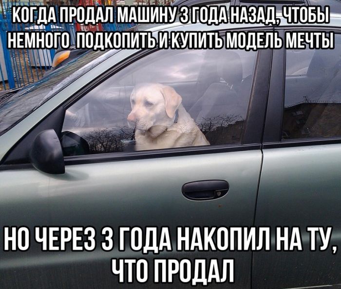 картинка 6f565ab3b5 sreda jeto malenkaja pjatnica a znachit pora podzarjaditsja 0