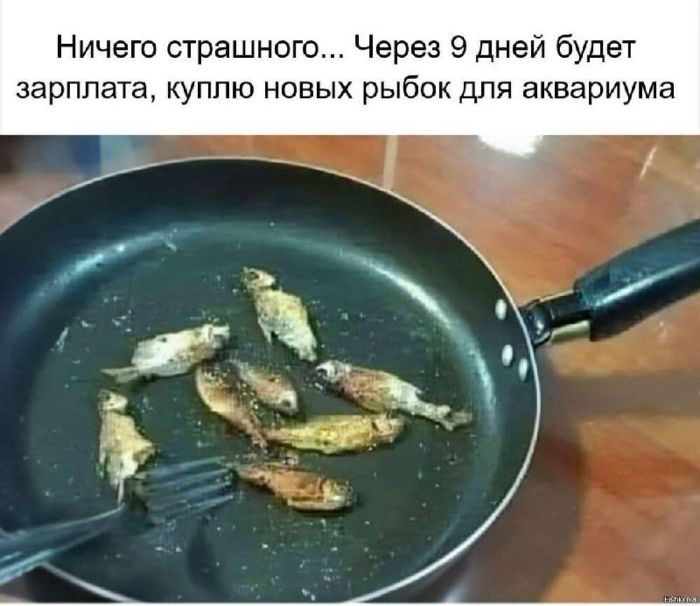картинка 713f4a35cf smeh kak lekarstvo svezhaja podborka memov dlja podnjatija nastroenija 5