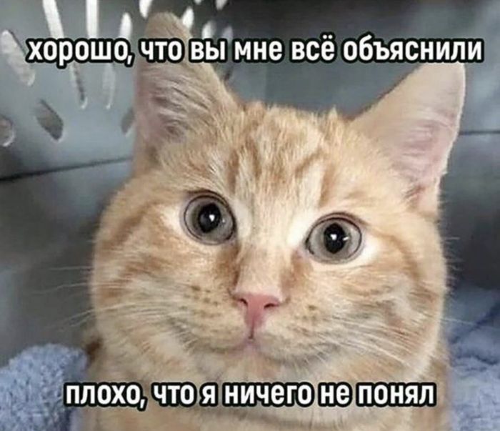 картинка 73826eefea 000