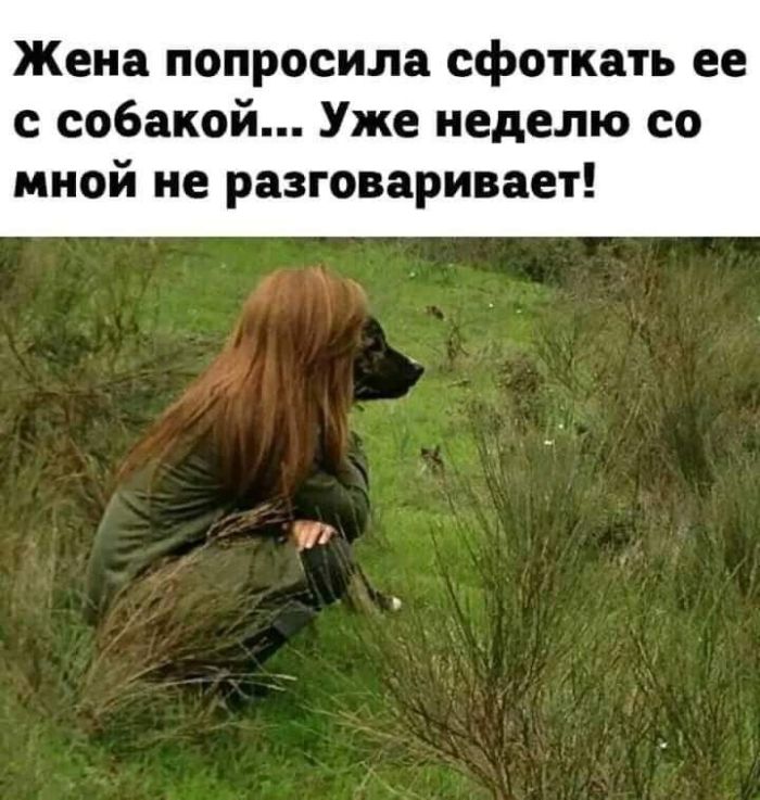 картинка 7582f32908 0000000000000000000