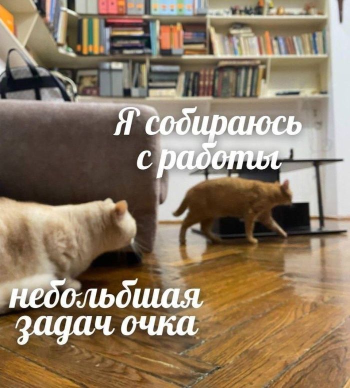картинка 78d54b1442 den davit delami i novostjami samoe vremja nazhat na pauzu  5