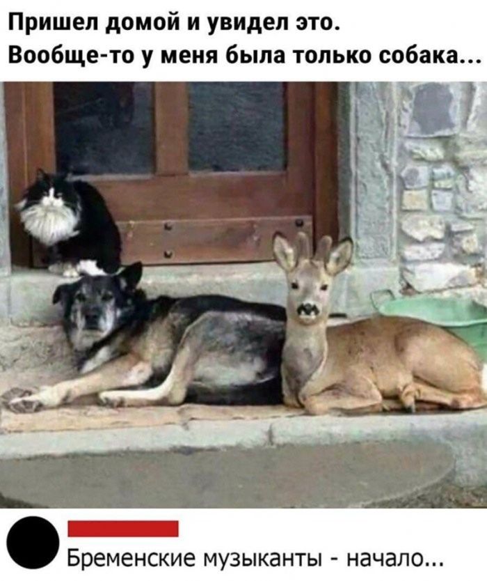 картинка 7978a9eb24 18 vnimanie chernyj jumor na grani fola 10