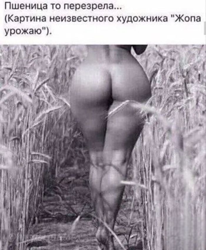 картинка 7aacf56350 ostorozhno uroven toksichnosti zashkalivaet 18