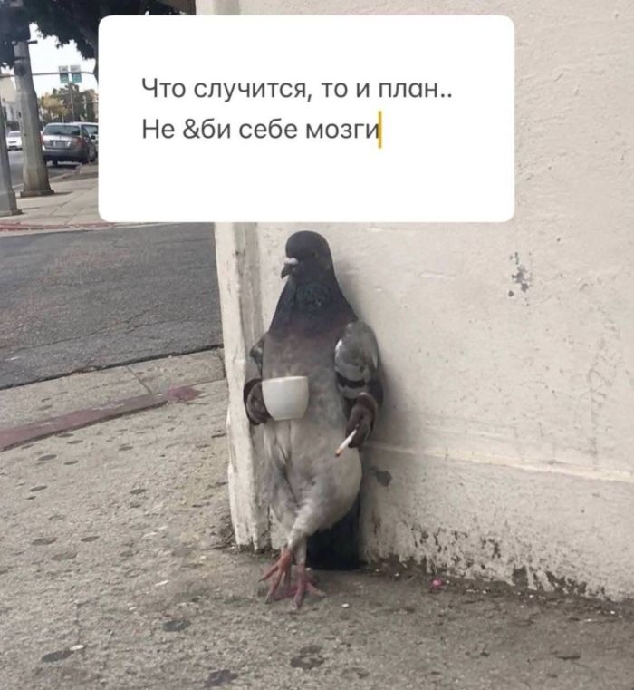 картинка 85cd0b2572 den navalilsja delami nazhmi na pauzu hotja by na minutu 3