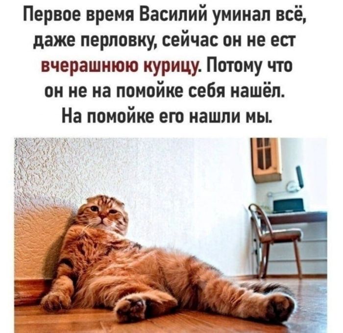 картинка 88dc4ed171 ostorozhno uroven cinizma zashkalivaet 15