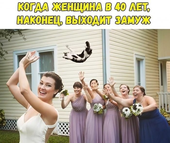 картинка 8b429964ce zabud pro prilichija podborka jumora na grani chtoby porzhat ot dushi 18