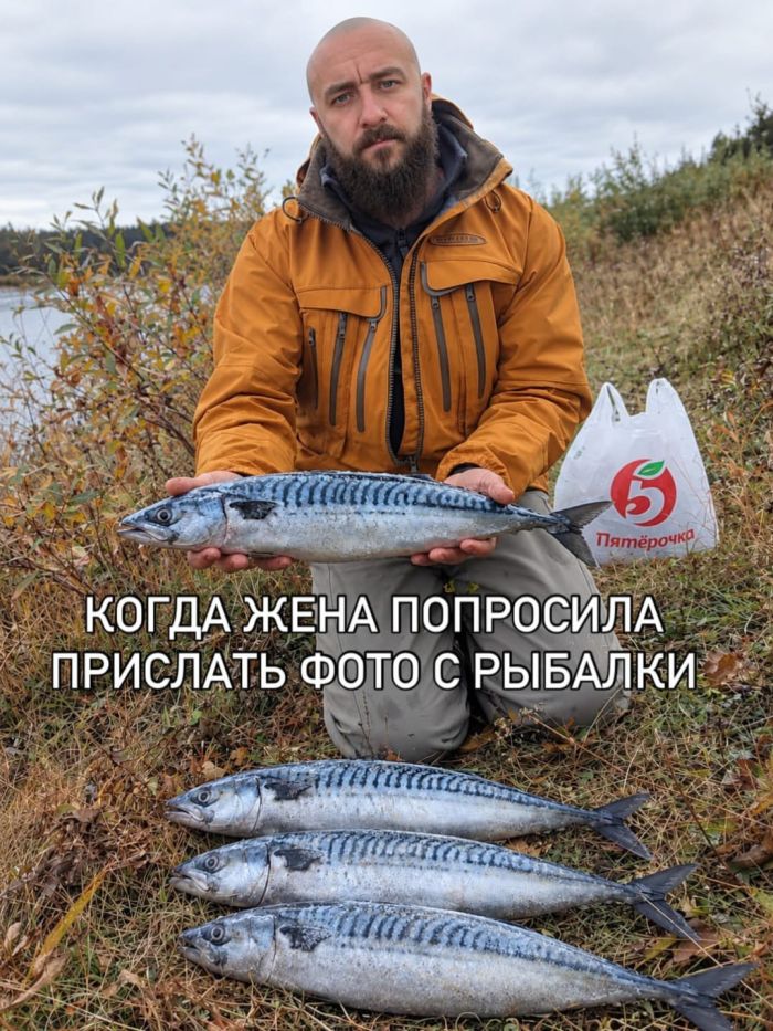 картинка 959b52a13e chernyj jumor uroven cinizma zashkalivaet 23