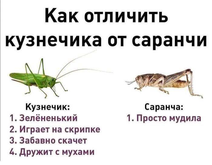 картинка 9683684a8d sreda vremja podnjat sebe nastroenie 9