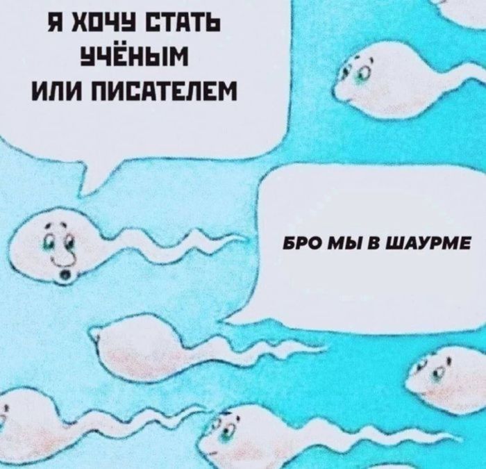 картинка 982a113879 zabud pro prilichija podborka jumora na grani chtoby porzhat ot dushi 29
