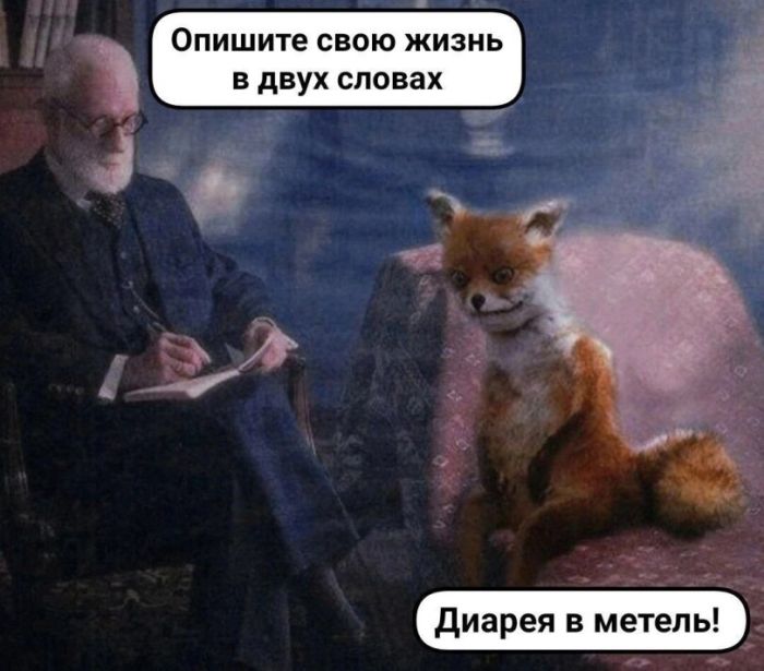 картинка 98d225c3b6 vnimanie kontent ne dlja nezhenok 1