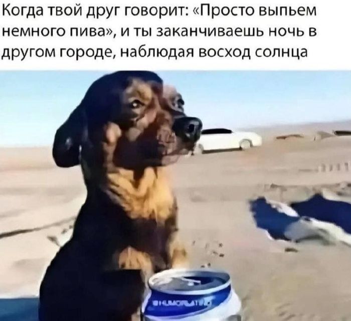 картинка 9d4c379f9e vnimanie prosmotr jetoj podborki mozhet stoit vam mesta v raju 7