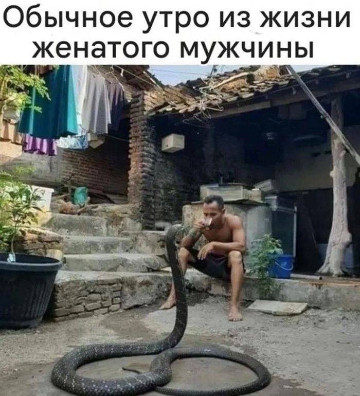 картинка a5bf88cdd5 kogda den seryj a nastroenie nuzhno srochno podnjat nasha podborka memov 13