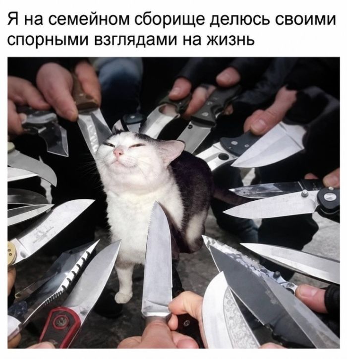 картинка a98bb93981 ostorozhno chernyj jumor 21