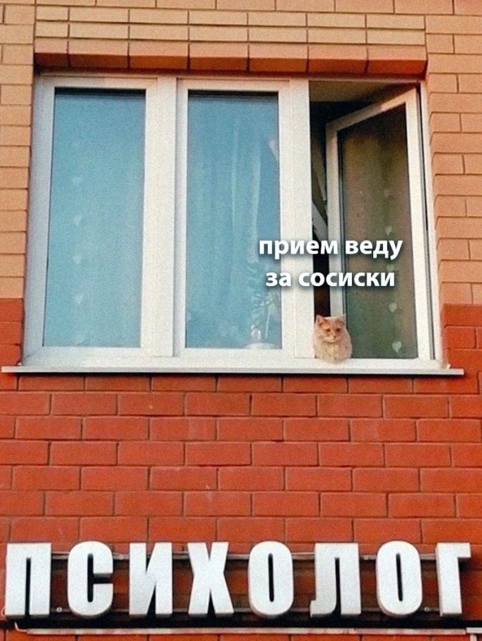 картинка b0d6166e27 chernyj jumor uroven cinizma zashkalivaet 19