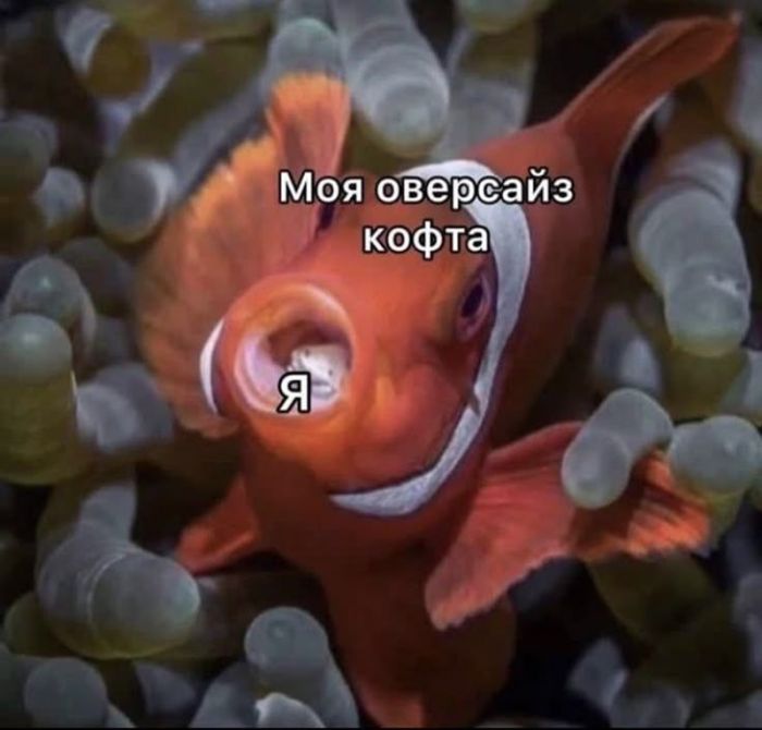 картинка b5bb06b9d0 ostorozhno uroven cinizma zashkalivaet 26