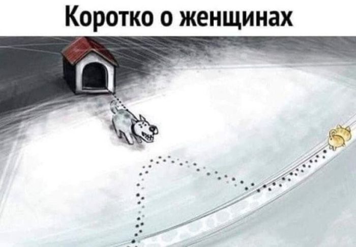 картинка b5d435ab38 ostorozhno uroven cinizma zashkalivaet podborka chernogo jumora dlja teh u kogo net tormozov 15