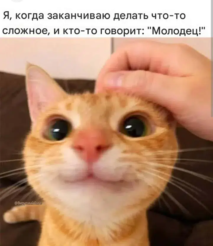 картинка be65355918 1790608473