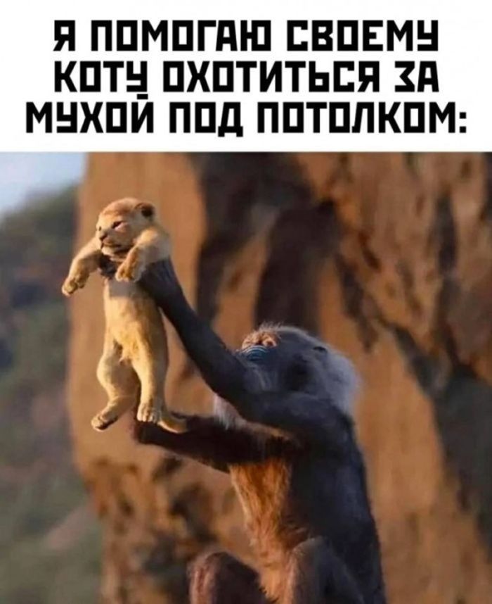 картинка c14a23c70c ostorozhno uroven cinizma zashkalivaet podborka chernogo jumora dlja teh u kogo net tormozov 26
