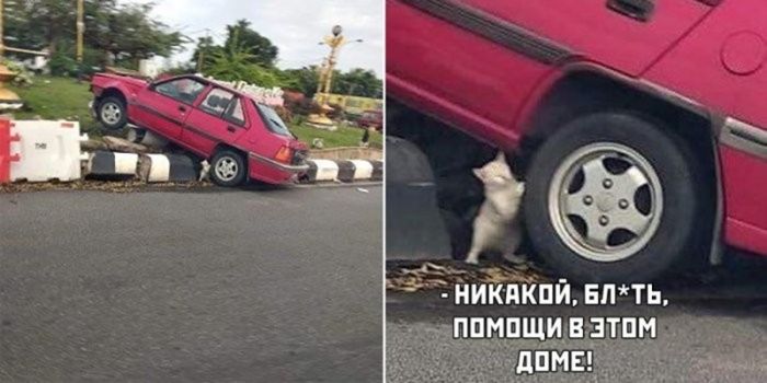 картинка ca0cd93c1d ostorozhno uroven cinizma zashkalivaet 5