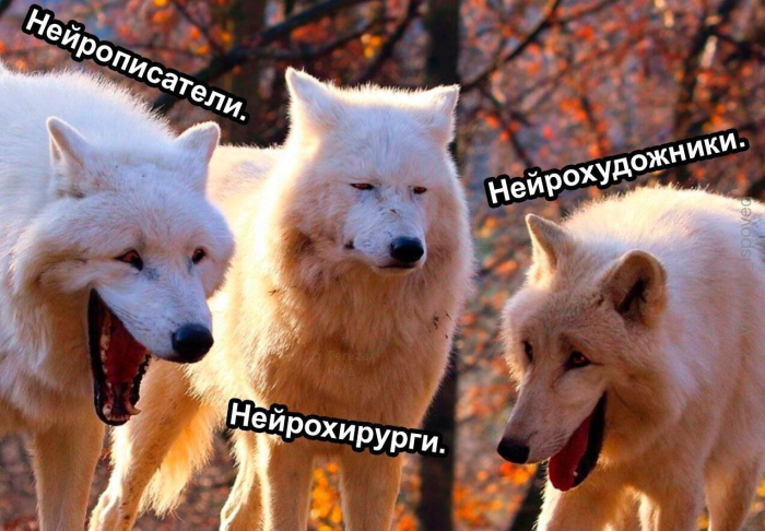 картинка cc15c7b81e vremja dlja porcii horoshego nastroenija 12