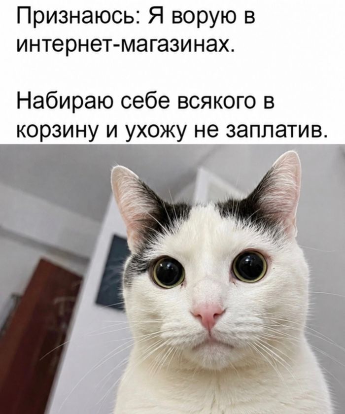 Заряжаемся на позитив! 🚀
