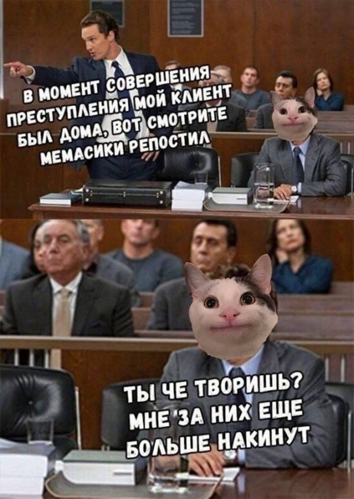 картинка d0e366daf3 00