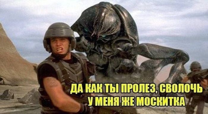 картинка d26acf5043 pjatnichnaja razrjadka memy i foto kotorye pojmet kazhdyj 4