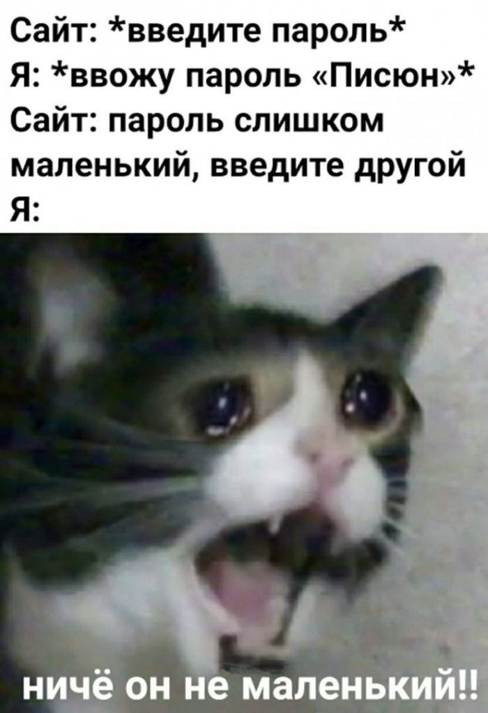 картинка d525995c91 ostorozhno uroven cinizma zashkalivaet podborka chernogo jumora dlja teh u kogo net tormozov 23