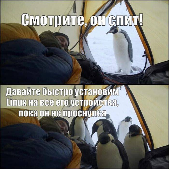 Нужна доза хорошего настроения? Мы тут подготовили подборку, после которой день станет чуточку лучше. 🚀 время, Устали, спокойнее, голос, 😄Листайте, заряжайтесь, лёгким, настроением, возвращайтесь, делам, какой, повезёт, последнее, реально, рассмешил, Поделитесь, комментариях, соберём, коллекцию, посмеяться