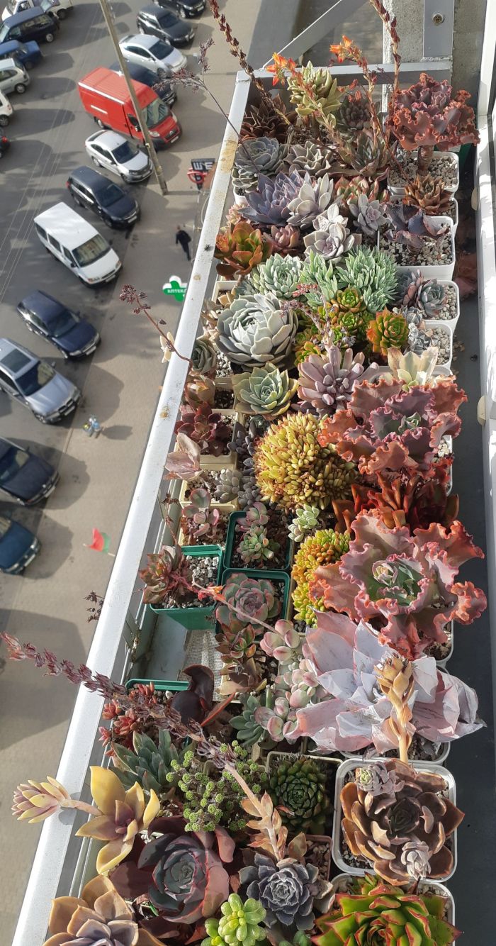 картинка fc3429c609 seredina nedeli samoe vremja sdelat pauzu na 5 minut i prosto posmejatsja 6
