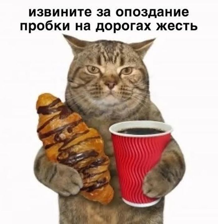картинка ff72266b50 0000000000000000