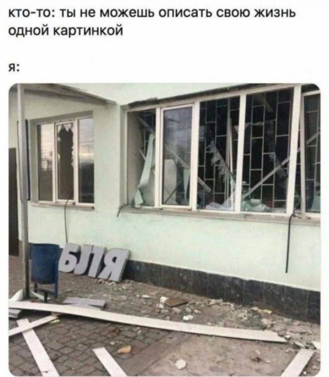 картинка 0202978066 21320947