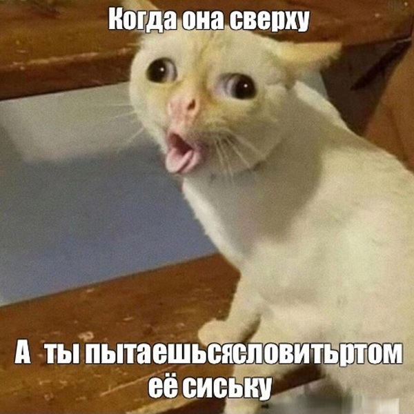 картинка 028e49df31 hotite chego to po nastojaschemu ostrogo my sobrali dlja vas samye smelye memy s chernym jumorom 9