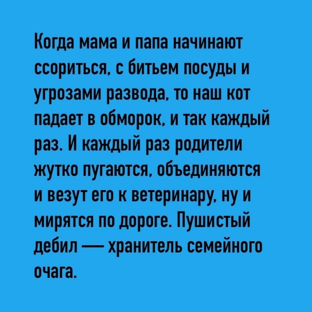 картинка 03506a7feb 21315899