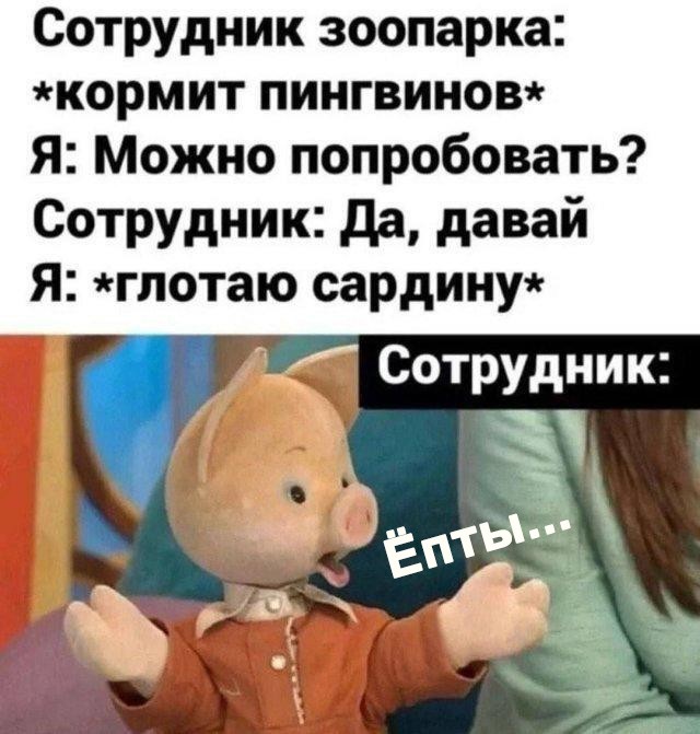 картинка 06e27c658d 21301568