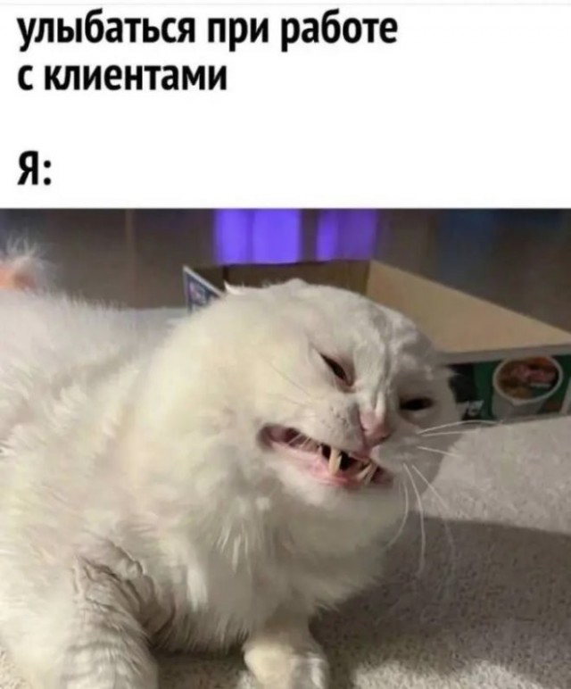 картинка 07fe7e2ef3 21259948