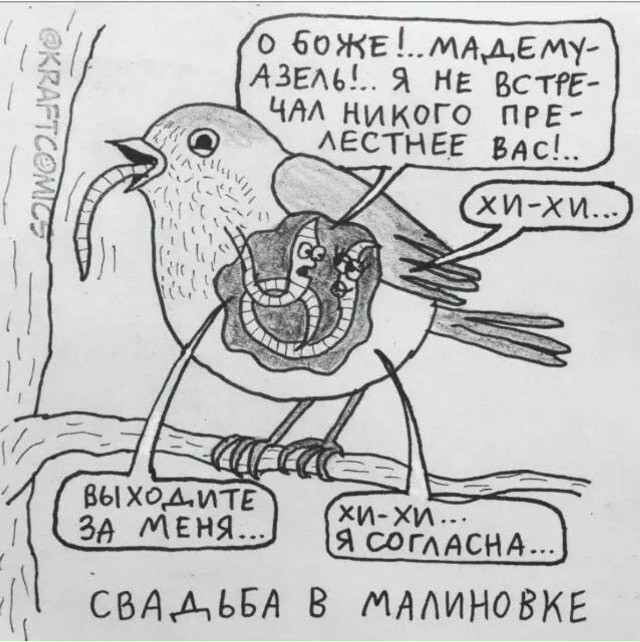 картинка 08f543d304 21320713