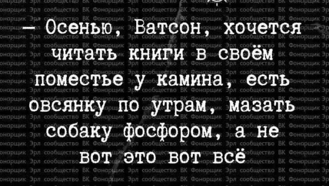 картинка 095bed707c 21256755