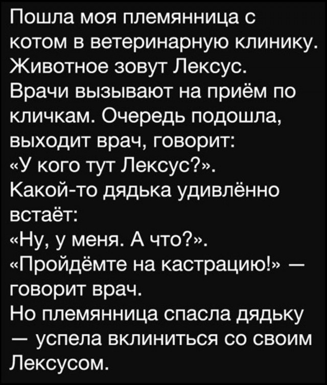 картинка 09d9086c99 21302651