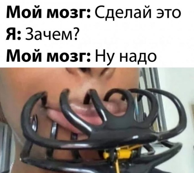 картинка 0b15faf64c 21275489