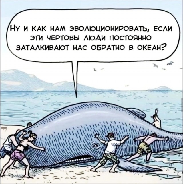 картинка 0d2ee6cc94 21289861